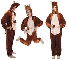 Känguru Känguruh Kangaroo