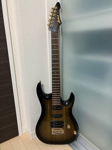 Aria pro magna series - ii,
