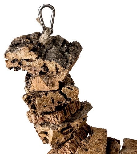 Vogelschaukel zum knabbern - vogelschaukel,