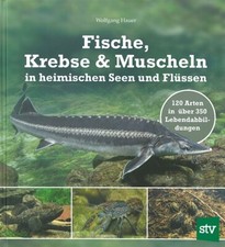 Hauer: Fische/Krebse/Muscheln in heimischen Gewässern (Bestimmungsbuch/Hand-Buch