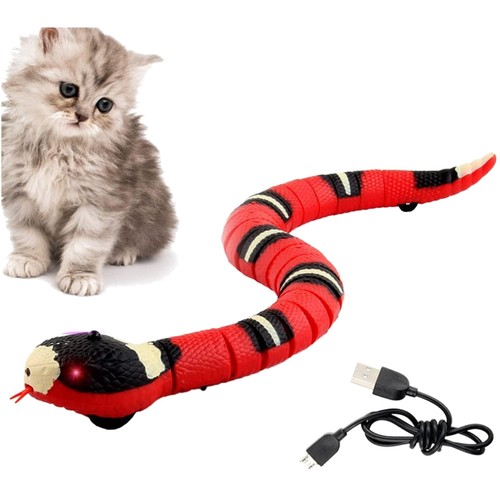 Spielzeugschlange katze - spielzeugschlange,