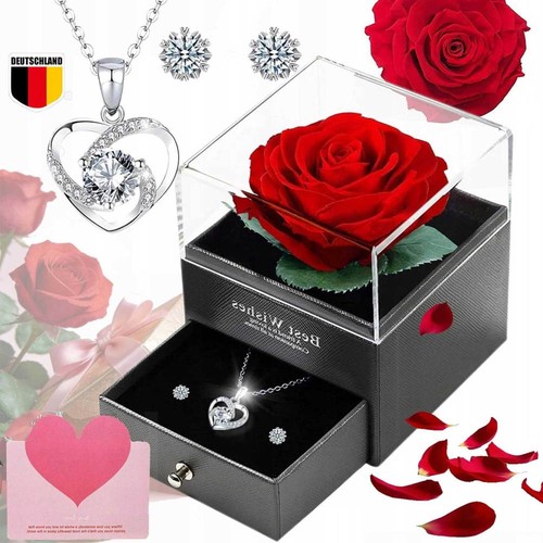 Ewige echte rose - echte,