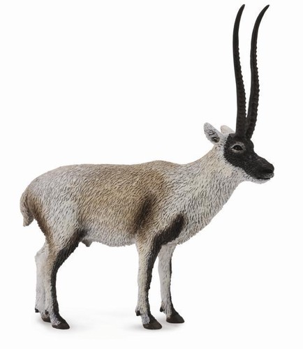 Collecta 88721 tschiru - collecta, chiru