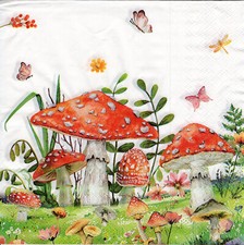 3 Servietten ~ Nature, Herbst, Pilze, Fliegenpilzen ~ 33x33