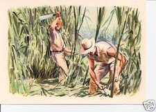 SANELLA - BILDER / Bild Nr 51