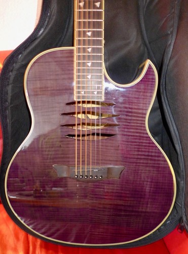 Dean western gitarre - dean, (shark)