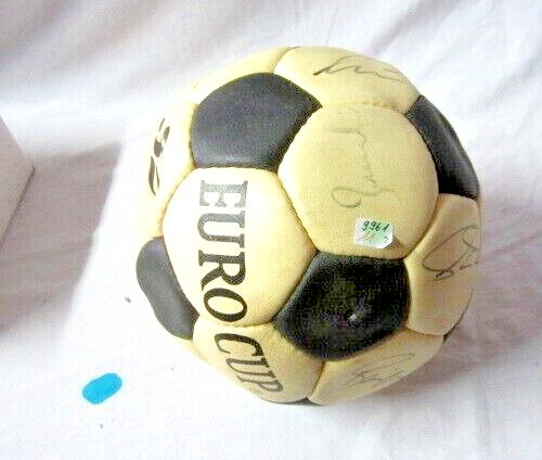 Ball lederball - ball,