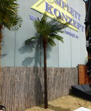 Palmenbaum Kokos Palme Kunstpflanze Künstliche Pflanze ca. 300cm