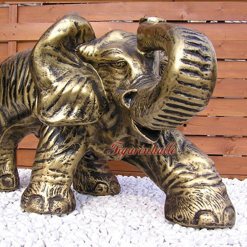Afrikanischer elefant afrika - afrikanischer,