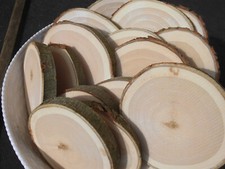 15 x Holzscheiben Astscheiben