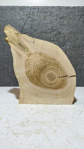 Halbe baumscheibe - halbe,,