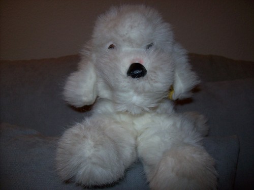 Steiff pudel tobby - pudel, 4161/35