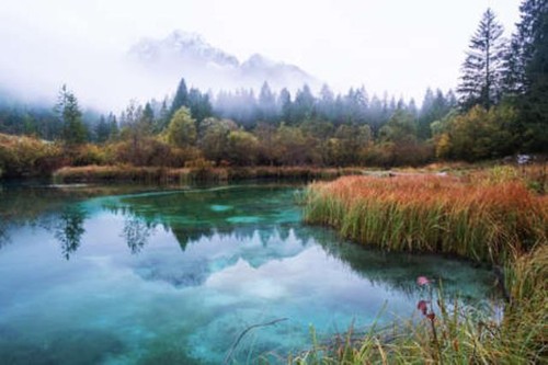 Wandbild lake zelenci und - zelenci,