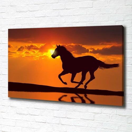 Leinwandbild kunst druck - leinwandbild, kunst-druck