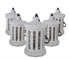 Paket mit 5 Spulen für