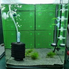 Moosgitter Rückwand (Aquarium