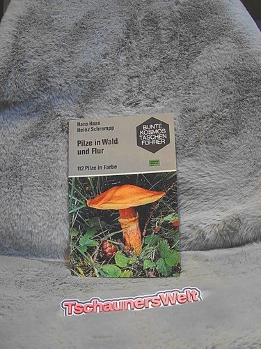 Pilze wald und flur - wald,