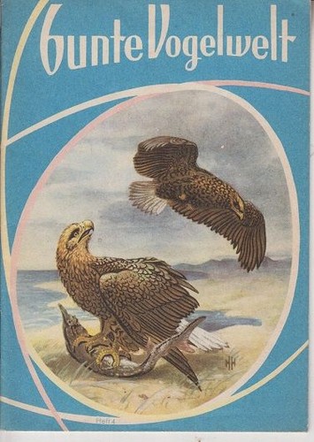 Bunte vogelwelt - bunte,