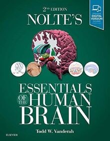 Noltes essentials the human - noltes,