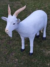 Ziege lebensgroß Ziege