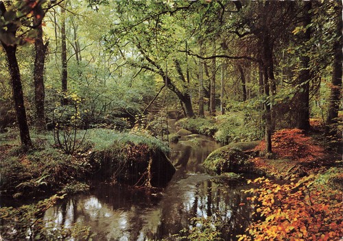 Huelgoat der silberfluss im - huelgoat,
