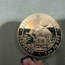 Silber-Anlagemünze African