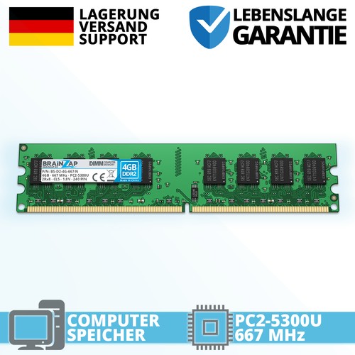 Brainzap 4gb ddr2 ram - brainzap,