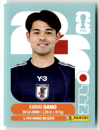 Panini 2026 world cup - cup, wm