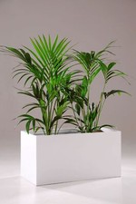 Blumenkübel Pflanzkübel