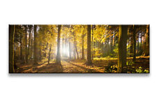 Bilder Leinwand 120 x 40 Wald