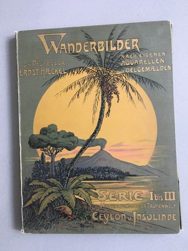 Naturwunder der tropenwelt - der,