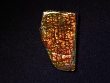 Ammolith  (Kanada)  22,0