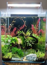 Dennerle Nano Cube Aquarium