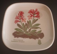 Kleiner Zierteller Rostrote Alpenrose Langenthal Suisse