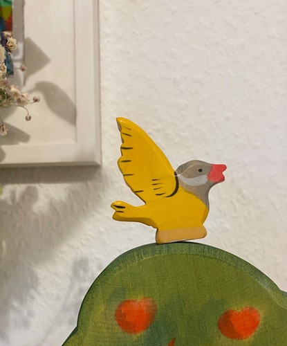 Holztiger vogel rarität - holztiger, vogel,