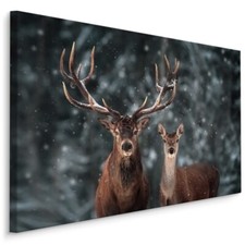 Canvas leinwand bilder xxl - canvas,