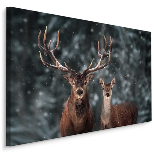 Canvas leinwand bilder xxl - leinwand,