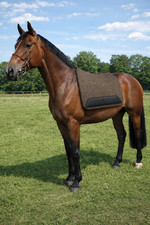 WEISSL Filzschabracke für