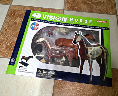 Vision pferd - 4m,