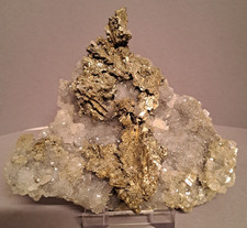 Selten! Dendritisches