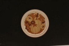 Terra Prato Frückstücksteller Rosenthal Studio line 1.Wahl Beige braun Blume 