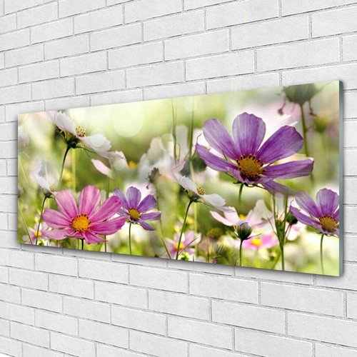 Glasbilder wandbild druck auf - glasbilder,