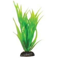 Aquarium Künstliche