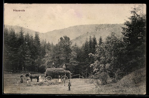 Bäuerinnen mit heuwagen bei - mit,