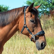 Love Hackamore gebisslose Trense (klein/Pony - schwarz) [Made in UK]