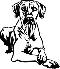 RHODESIAN RIDGEBACK Aufkleber
