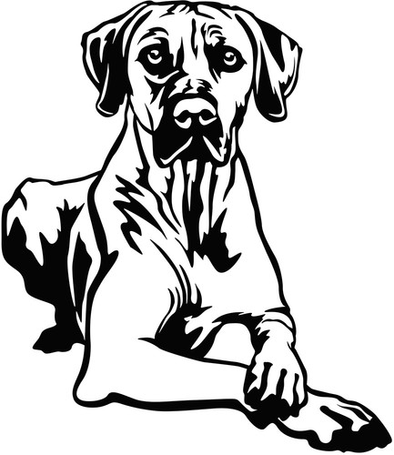Rhodesian ridgeback aufkleber - rhodesian,