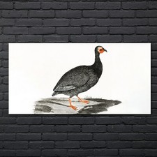 Zeichnung Tier Vogel Kunst