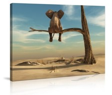 Bilder Leinwand  Elefant auf