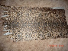 Stoff im Leo Look - Kostüm Familie Feuerstein